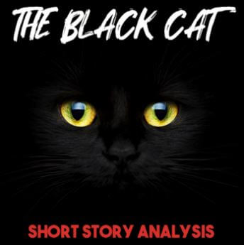 the black cat