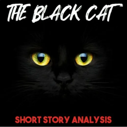 the black cat shorty story analysis
