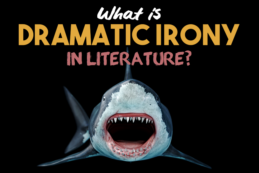 What is dramatic irony in literature?